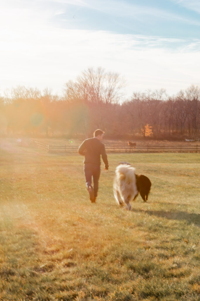 Running in a field with dogs