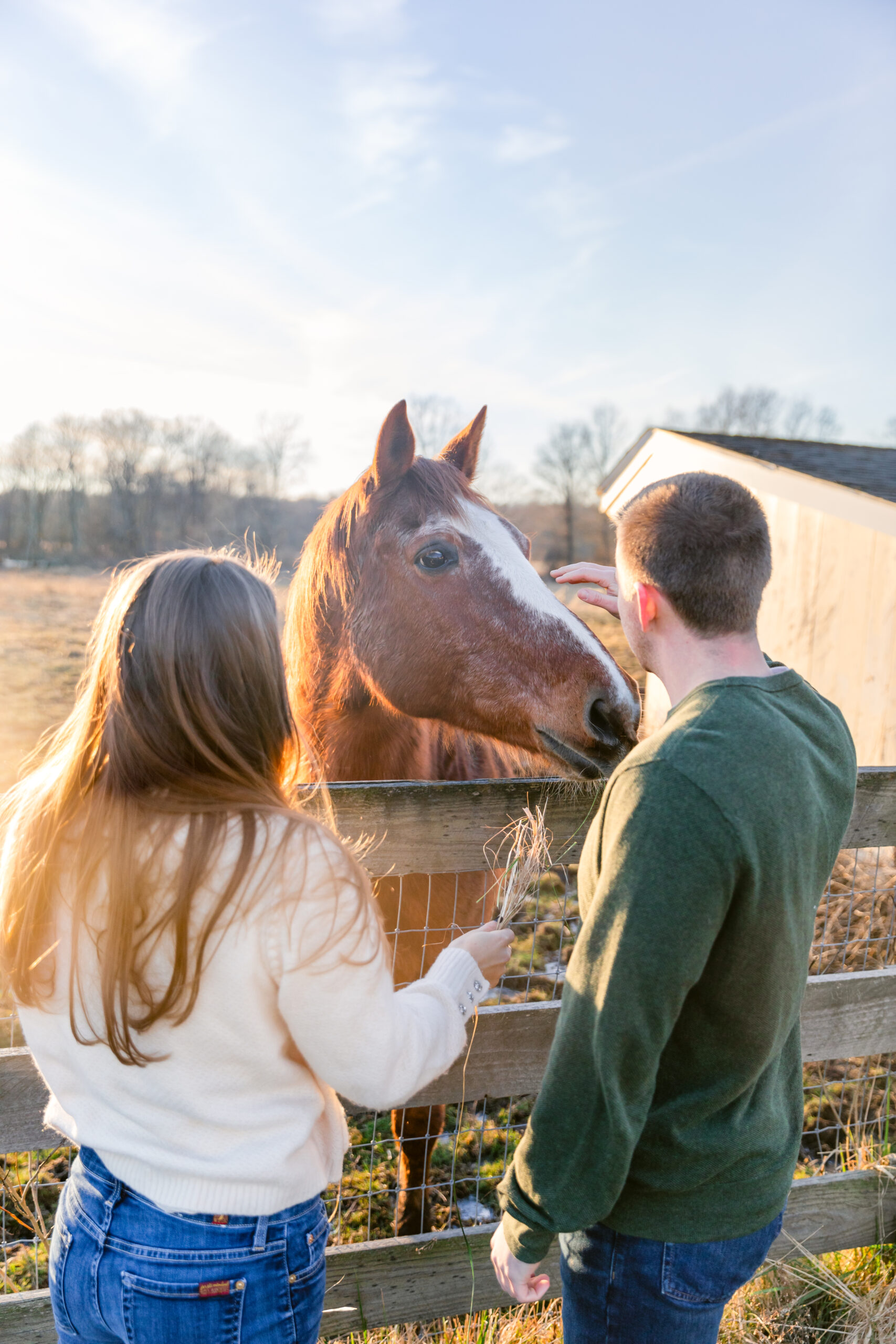 Couple petting a horse on a farm