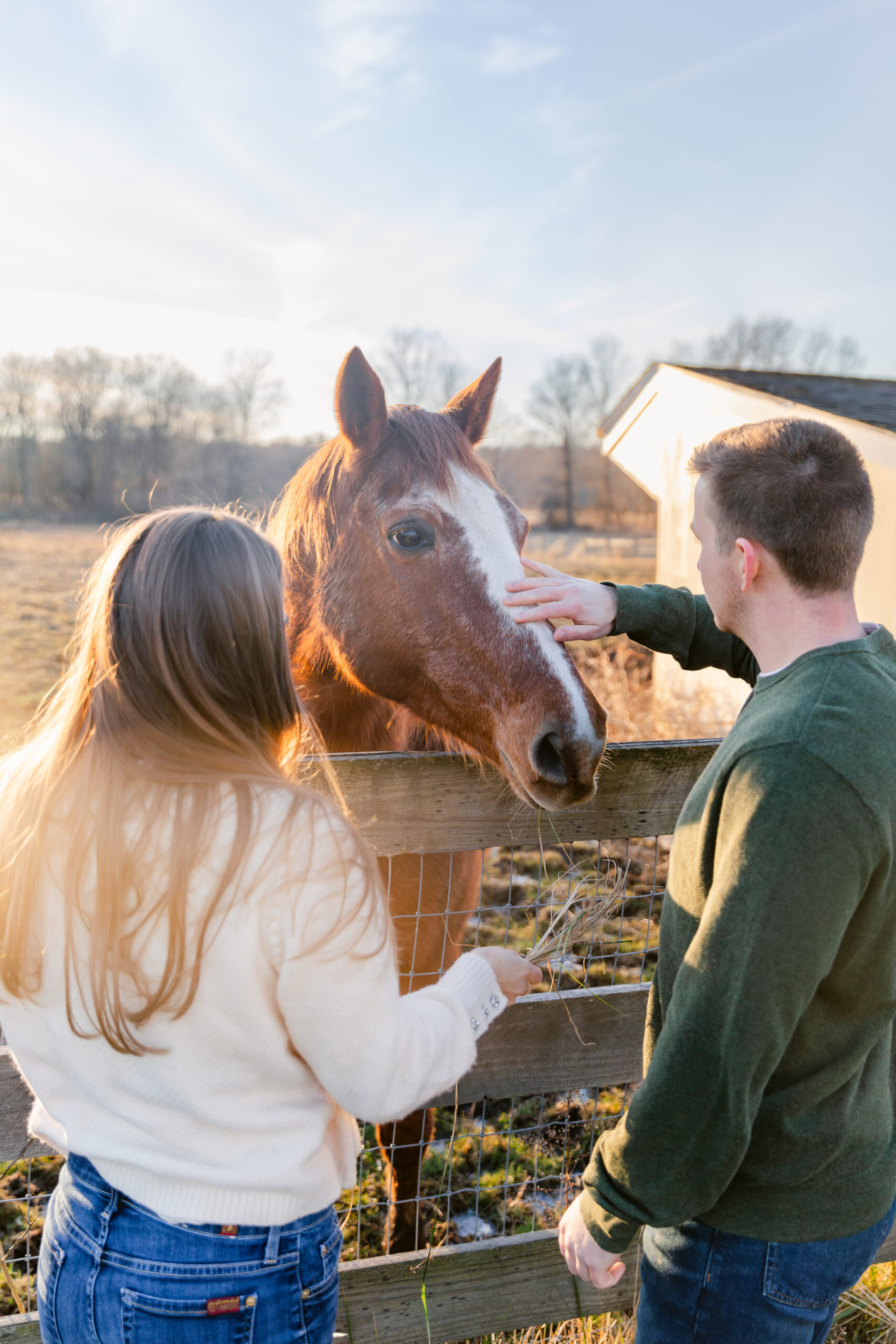 Couple petting a horse on a farm