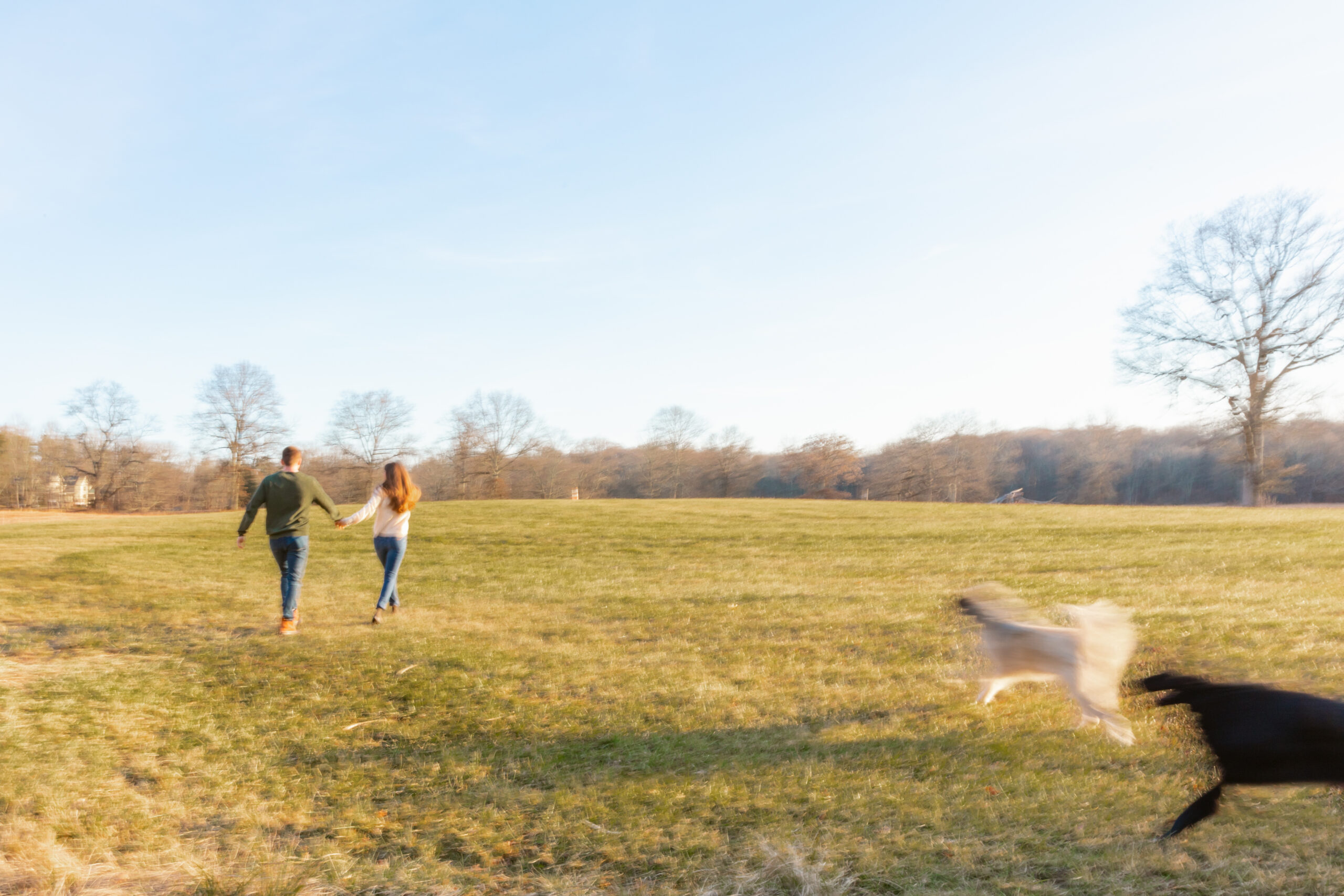 Couple running in a field with dogs