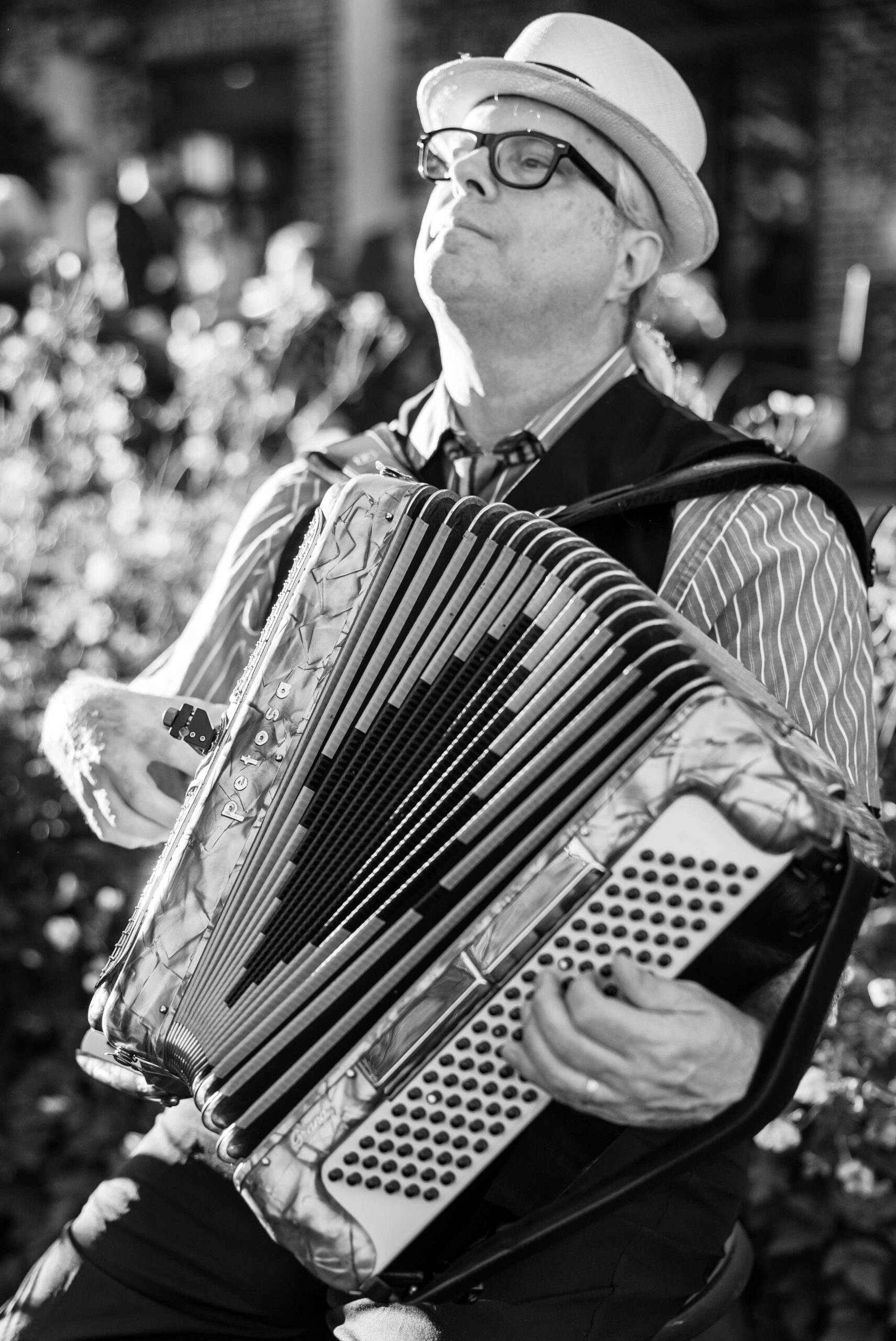 wedding accordion player